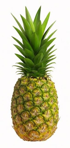 [pineapple[4].jpg]