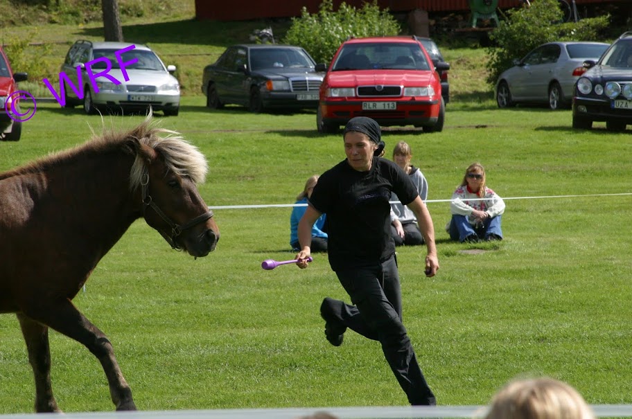 Foto från Hästens Dag i Molkom 2009