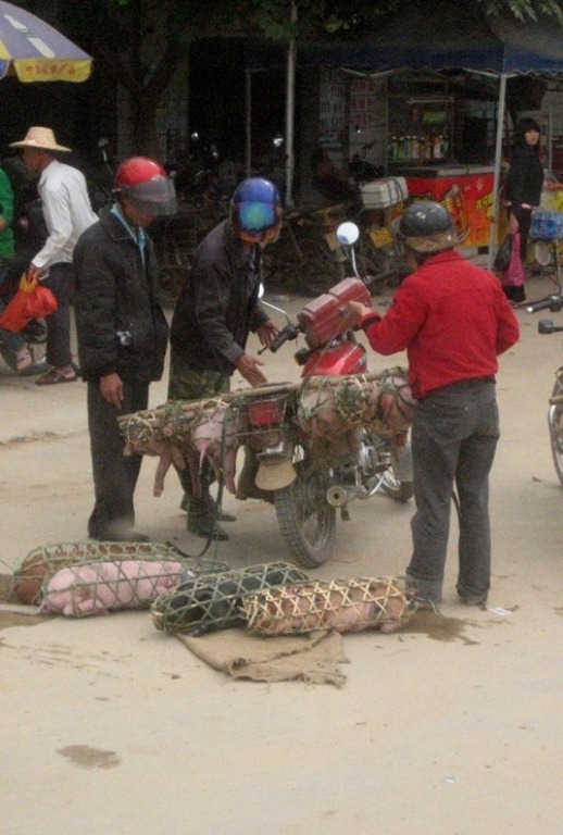 [IMG_98263.jpg]