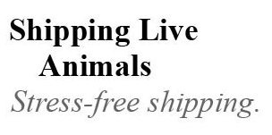 [shipping live animal[3].jpg]