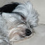 P1010083.JPG