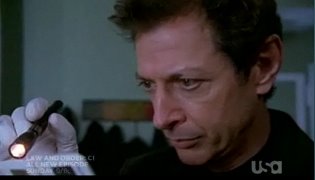 Jeff Goldblum Detective Zack Nichols Law and Order Criminal Intent CI Rockstar