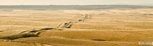 100528_cáceres caballos_006.jpg