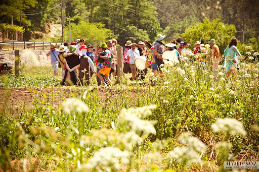100522_festival cans_004.jpg