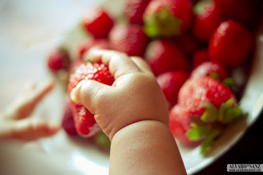 100718_fresas carmen_004.jpg