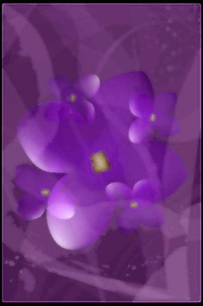 Violeta