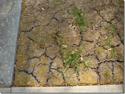 cracks in ground 1web