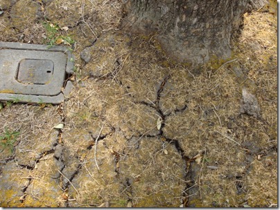 cracks in ground 2web