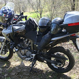 DSC01038.jpg