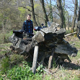 DSC01042.jpg