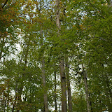DSC01972.JPG