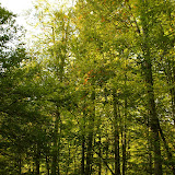 DSC02047.JPG