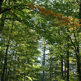 DSC02209.JPG