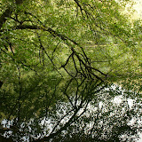 DSC02095.JPG