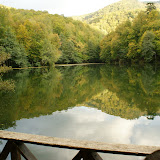 DSC02111.JPG