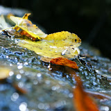 DSC02423.JPG