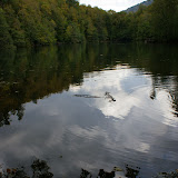 DSC02448.JPG