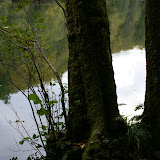 DSC02454.JPG