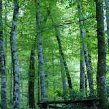 DSC02527.JPG