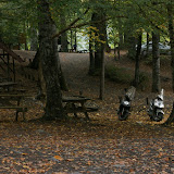 DSC02538.JPG