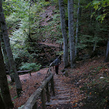 DSC02635.JPG