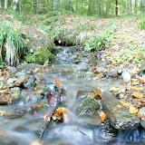 DSC02735.JPG