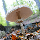DSC02756.JPG