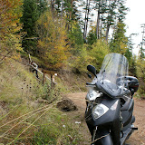 DSC02780.JPG