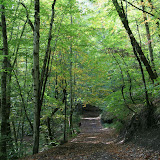 Yürüyüş yolu