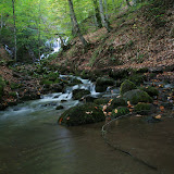 107.jpg