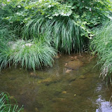 ballikayalar2008_093.jpg