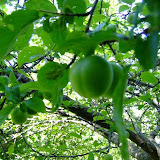 bilecik_062.jpg
