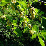 bilecik_063.jpg
