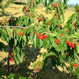 bilecik_071.jpg