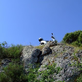 bilecik_077.jpg
