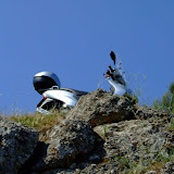 bilecik_078.jpg