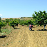 bilecik_074.jpg