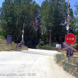 bilecik_034.jpg