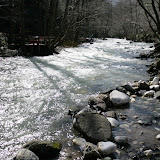 IMG_9502.jpg