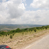 DSC_0116.JPG