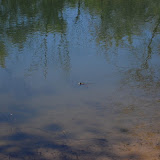 DSC_2551.JPG