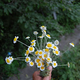 DSC_3619.JPG