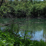 DSC_2570.JPG