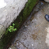 DSC00820.JPG