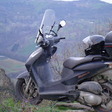 DSC00908.JPG