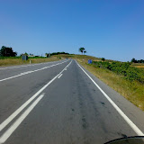 020720081501ls8.jpg