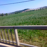 020720081565yc2.jpg