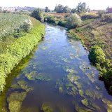 020720081569en1.jpg