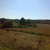 020720081511ye4.jpg