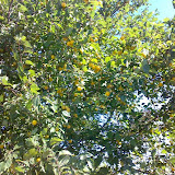 020720081516dv9.jpg